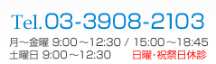 電話番号03-3908-2103